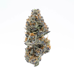 sunset sherbert strain